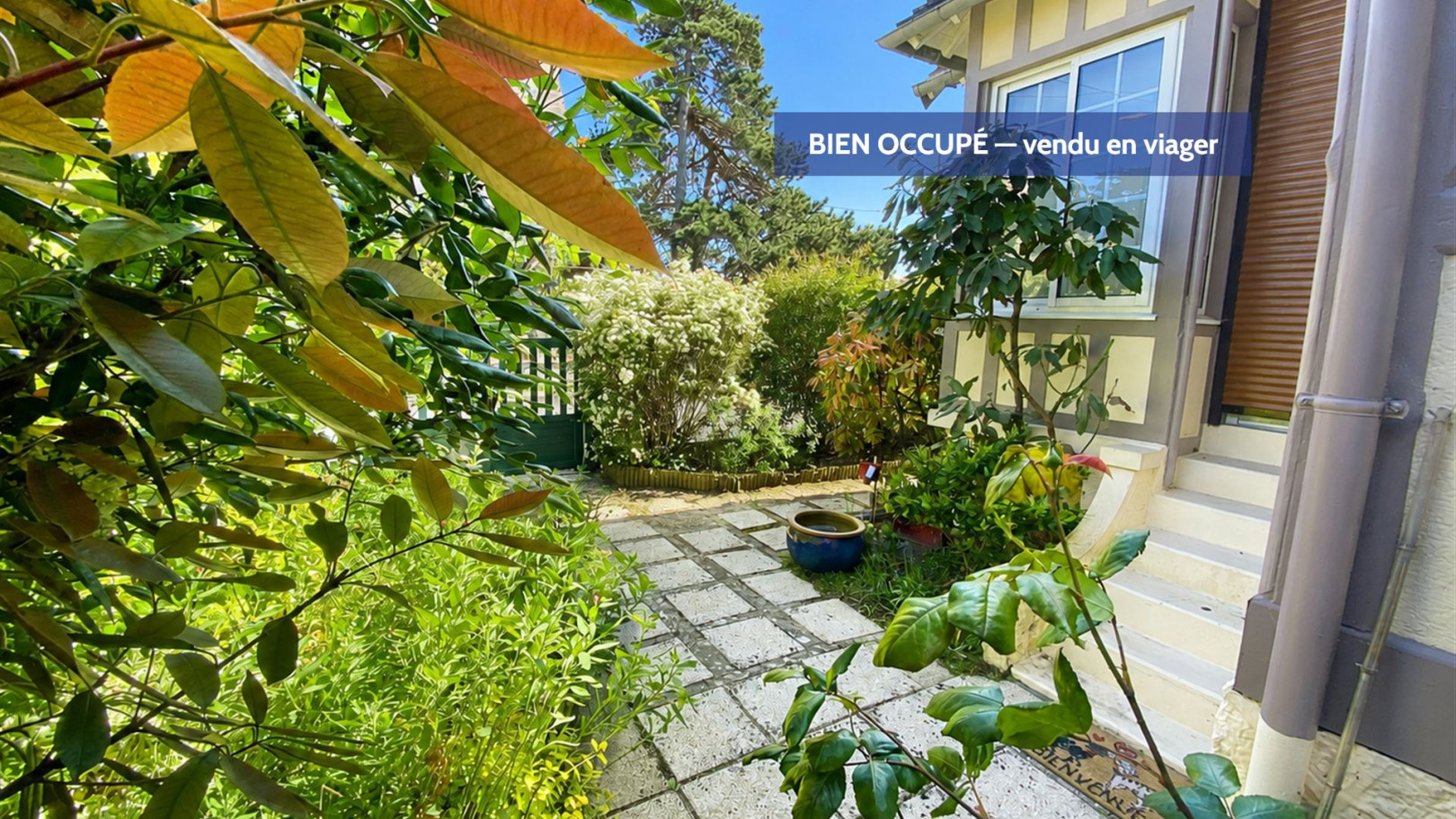 
                                                Vente
                                                 IDEAL POUR UN INVESTISSEUR.