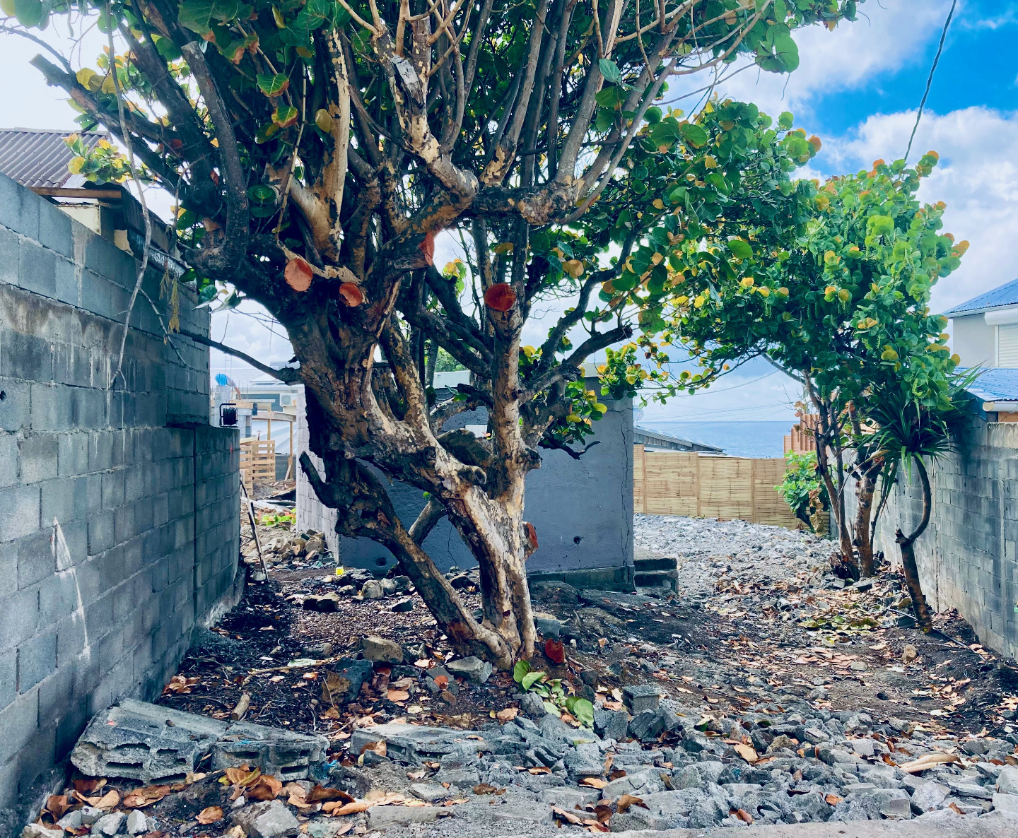 
                                                Vente
                                                 Ile de la Réunion. Terre Sainte