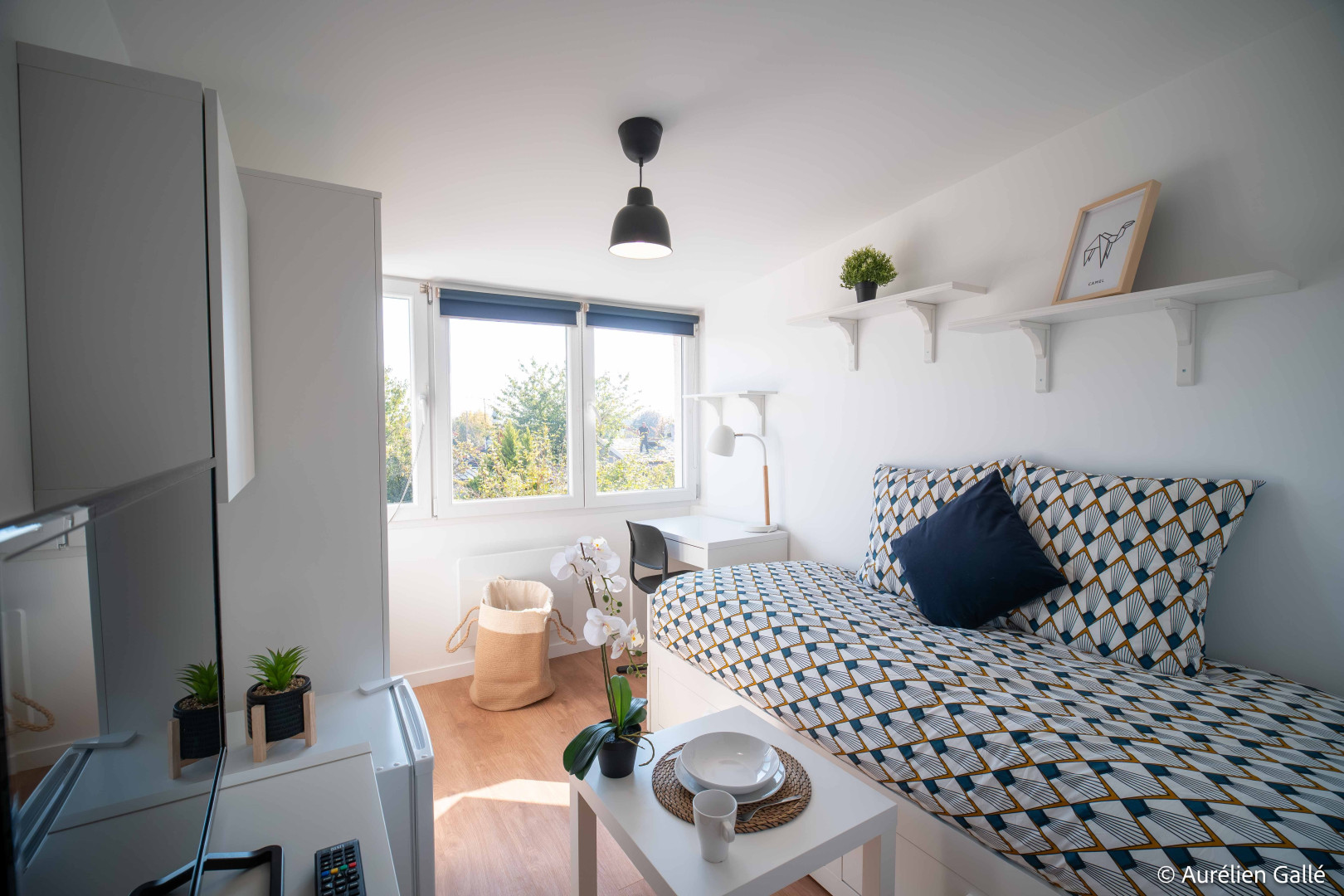 
                                                Vente
                                                 Immeuble 14 pièces