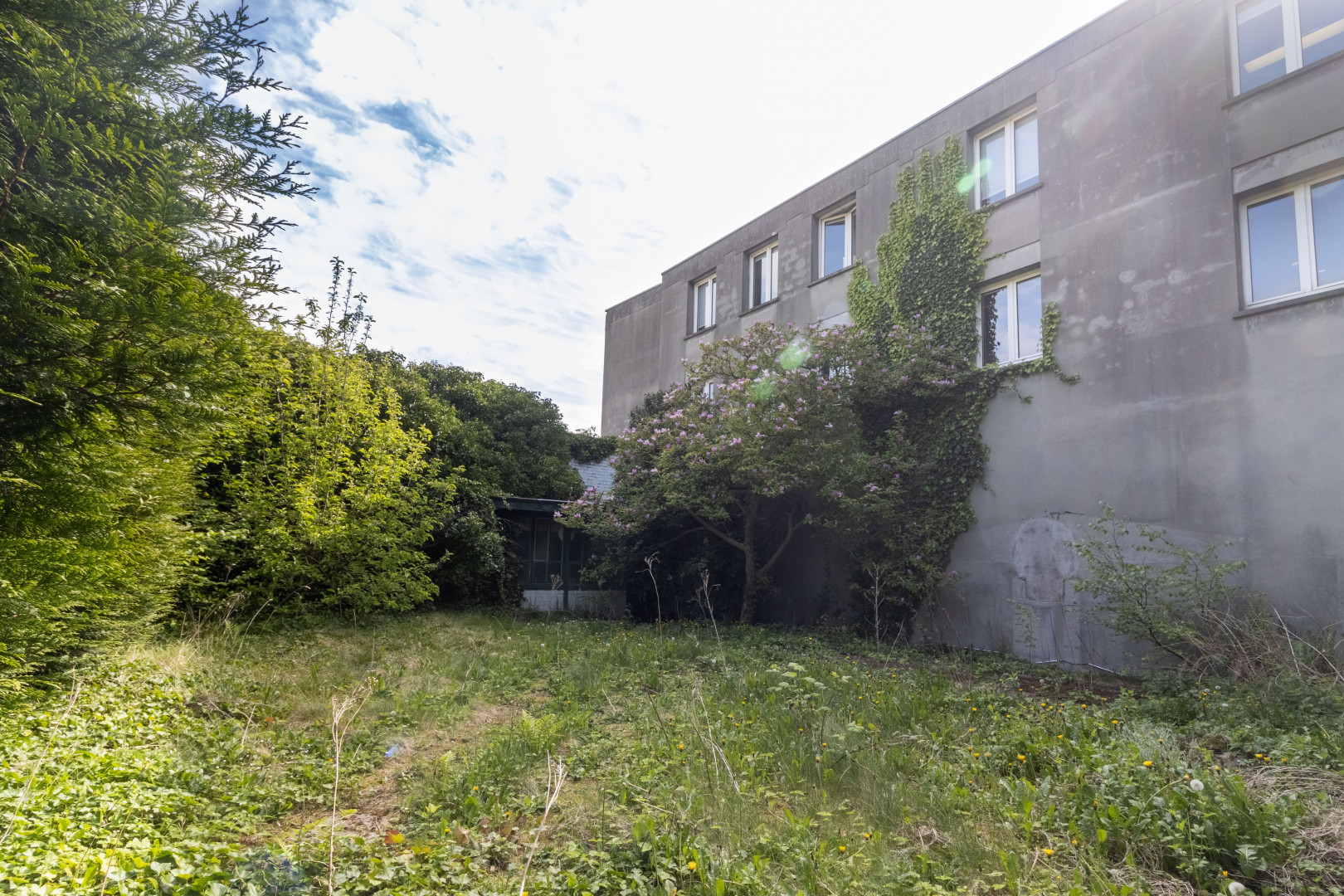 
                                                Vente
                                                 Immeuble de 3 appartements - 150 m² - Tourcoing (59)