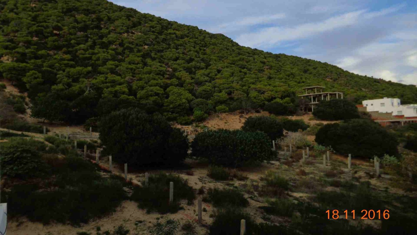 
                                                Vente
                                                 Immeuble en bord de mer ( Tunisie )