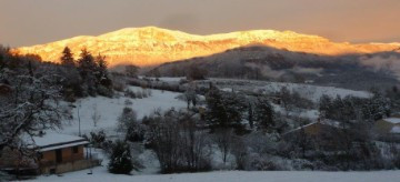 
                                                Vente
                                                 Immobilier