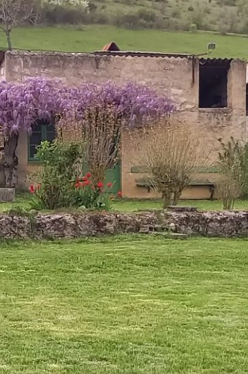 
                                                Vente
                                                 Immobilier
