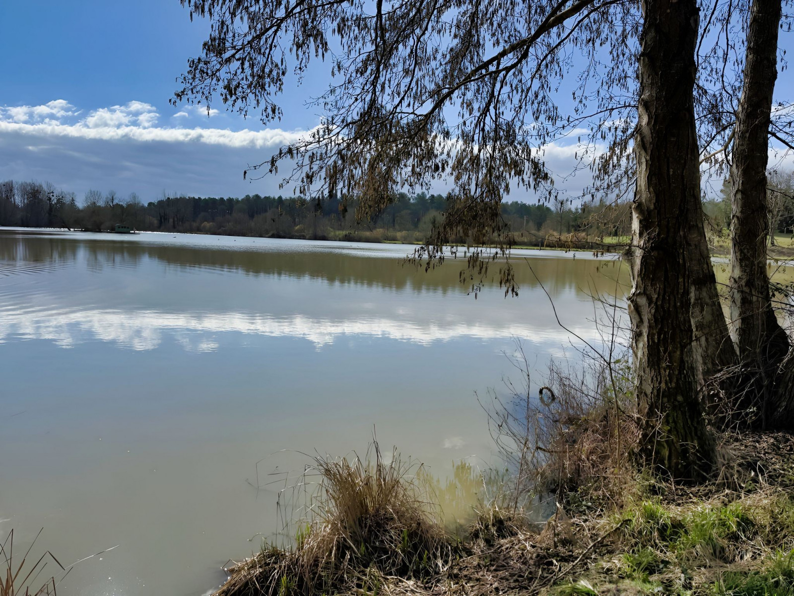 
                                                Vente
                                                 INDRE ET LOIRE DOMAINE D'EXCEPTION 46 HA