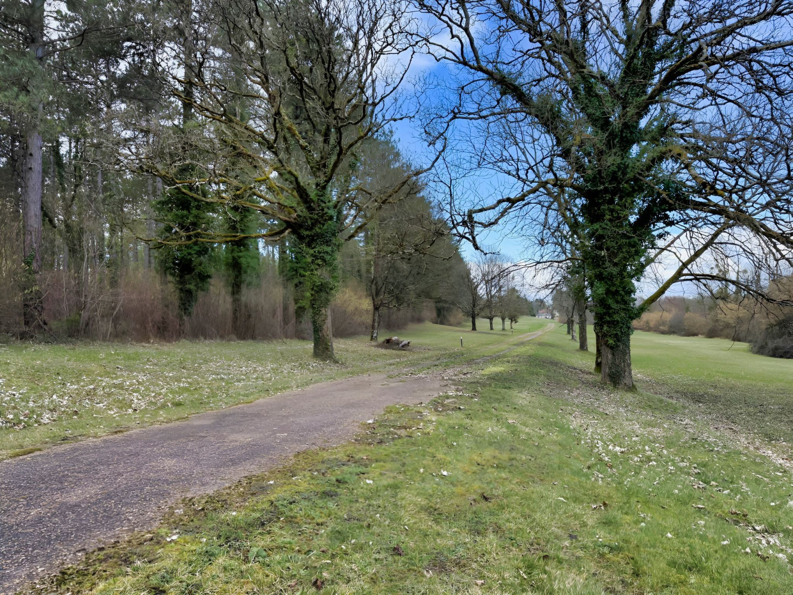 
                                                Vente
                                                 INDRE ET LOIRE DOMAINE D'EXCEPTION 46 HA