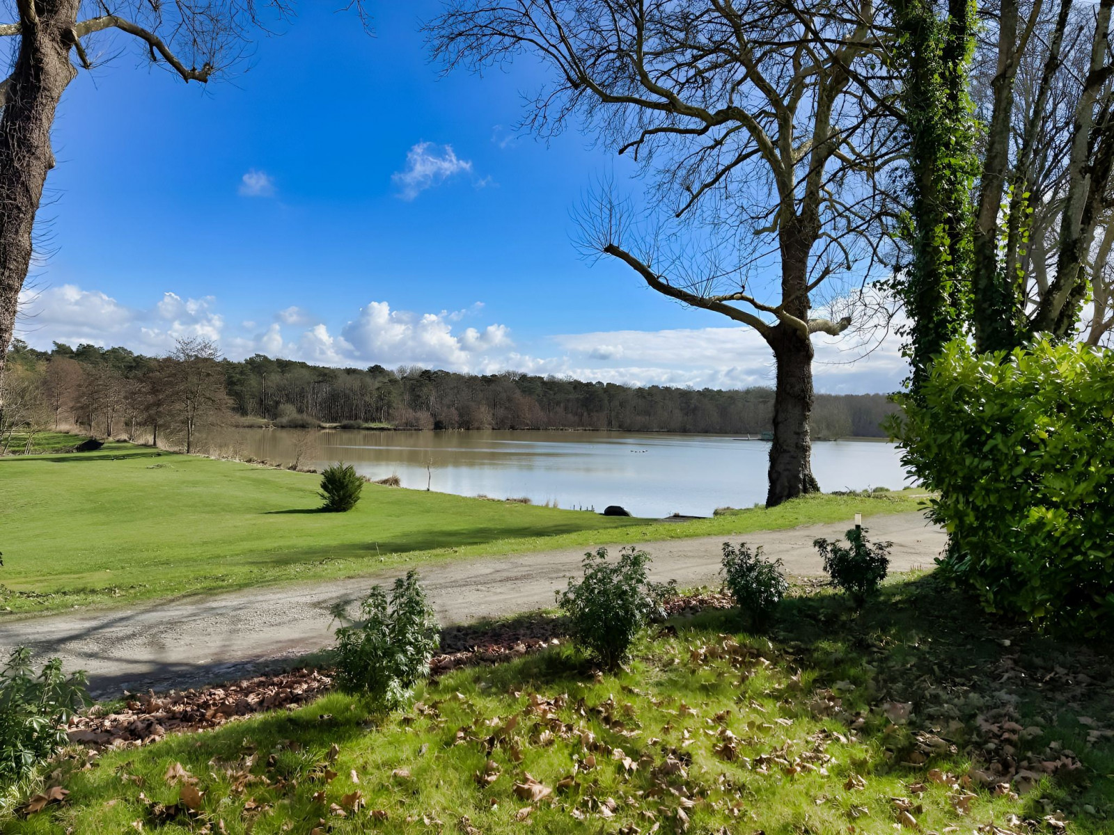 
                                                Vente
                                                 INDRE ET LOIRE DOMAINE D'EXCEPTION 46 HA