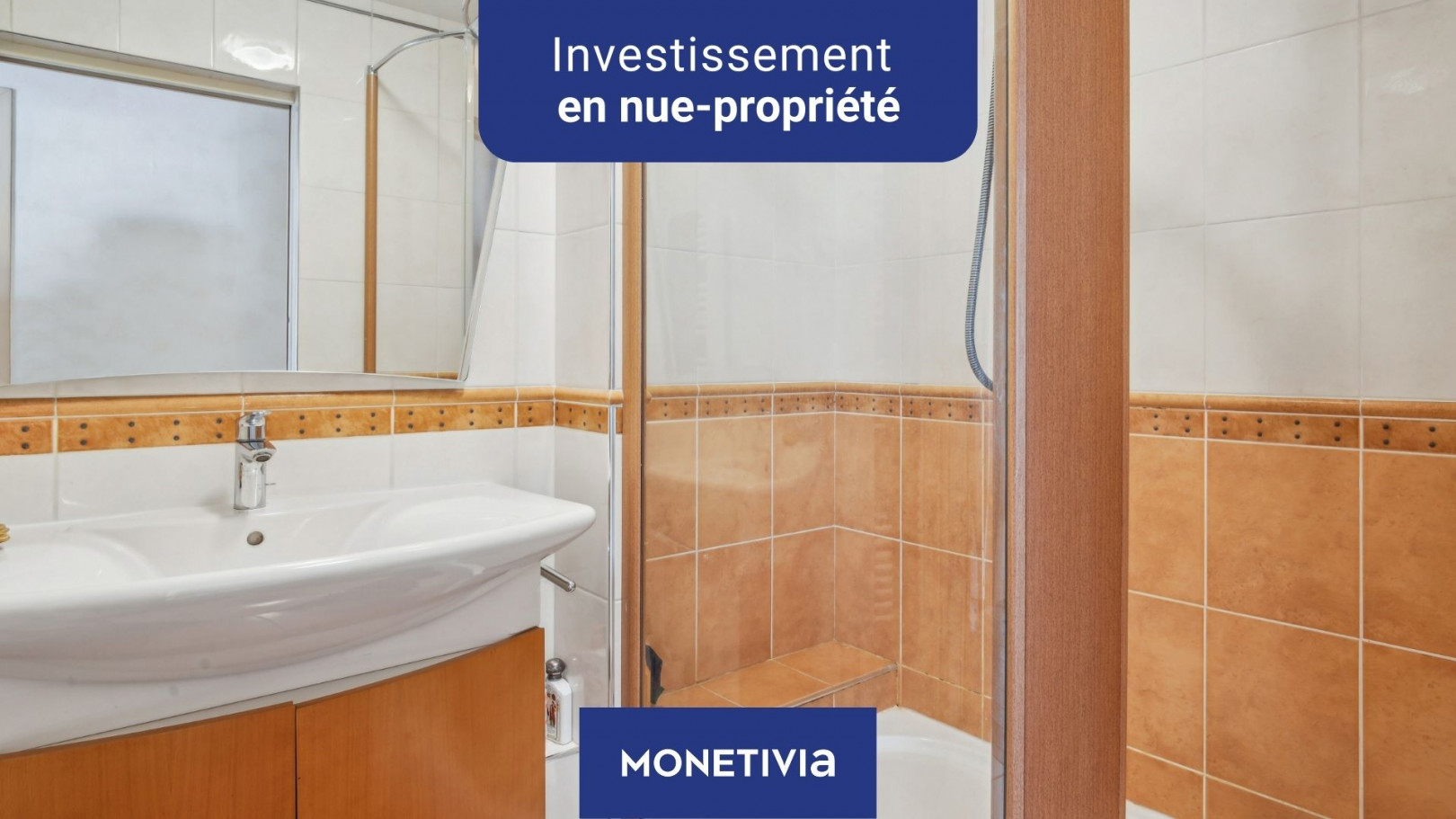 
                                                Vente
                                                 INVESTISSEMENT EN NUE-PROPRIÉTÉ À BRY-SUR-MARNE (94360)