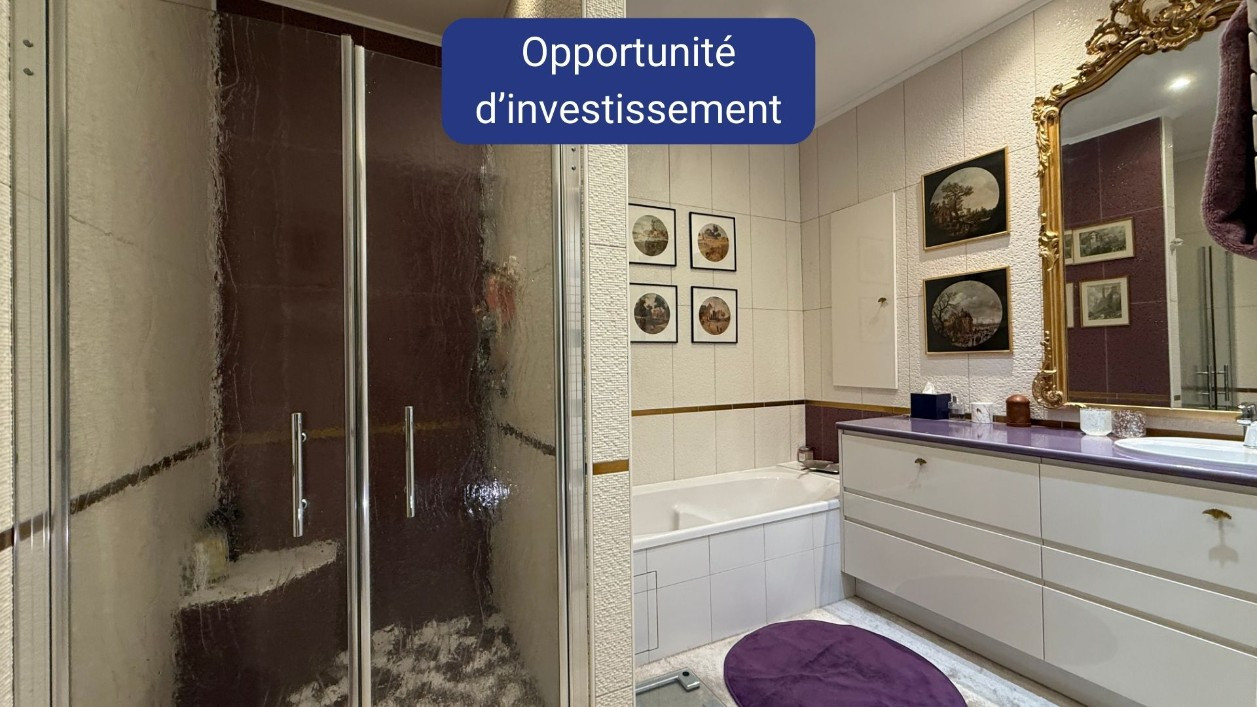 
                                                Viager
                                                 Investissement maison occupée à la Rochelle