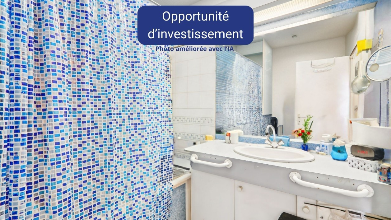 
                                                Viager
                                                 Appartement occupé Issy-les-Moulineaux