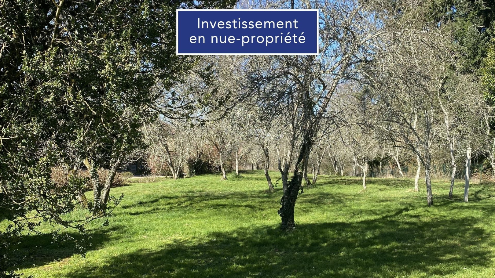 
                                                Vente
                                                 Jolie maison 6 pièces avec piscine