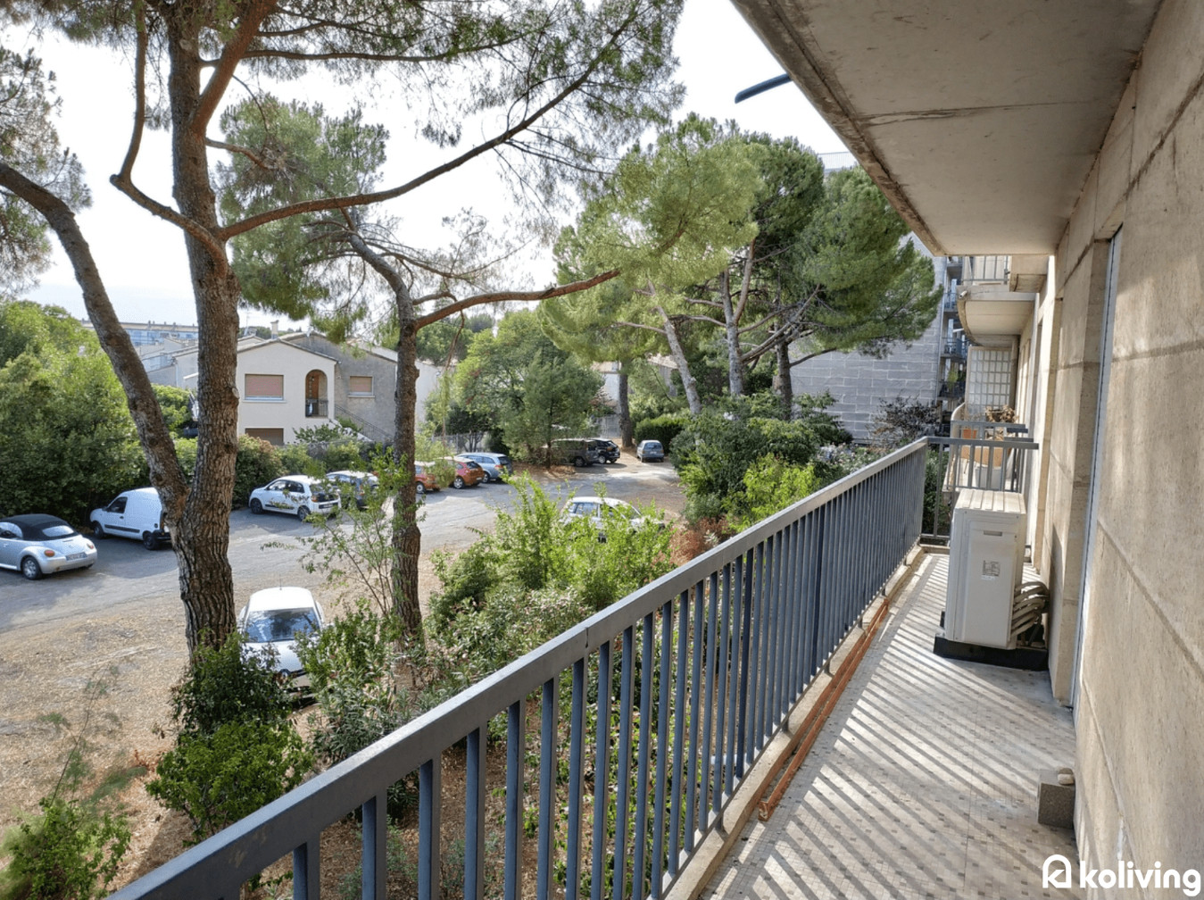 
                                                Location
                                                 Koliving