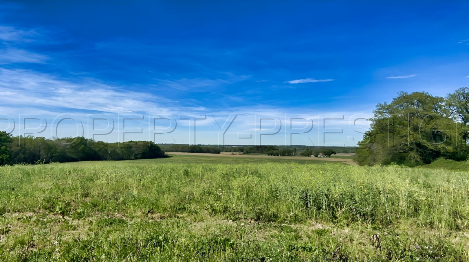
                                                Vente
                                                 LANDES DOMAINE 57 ha ETANGS