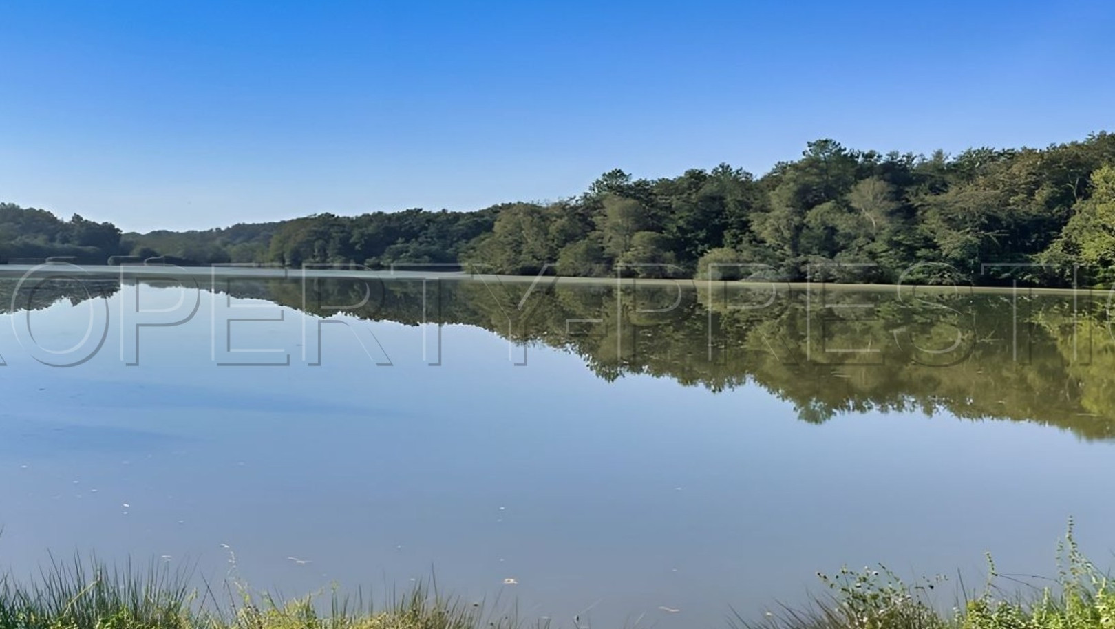 
                                                Vente
                                                 LANDES DOMAINE 57 ha ETANGS