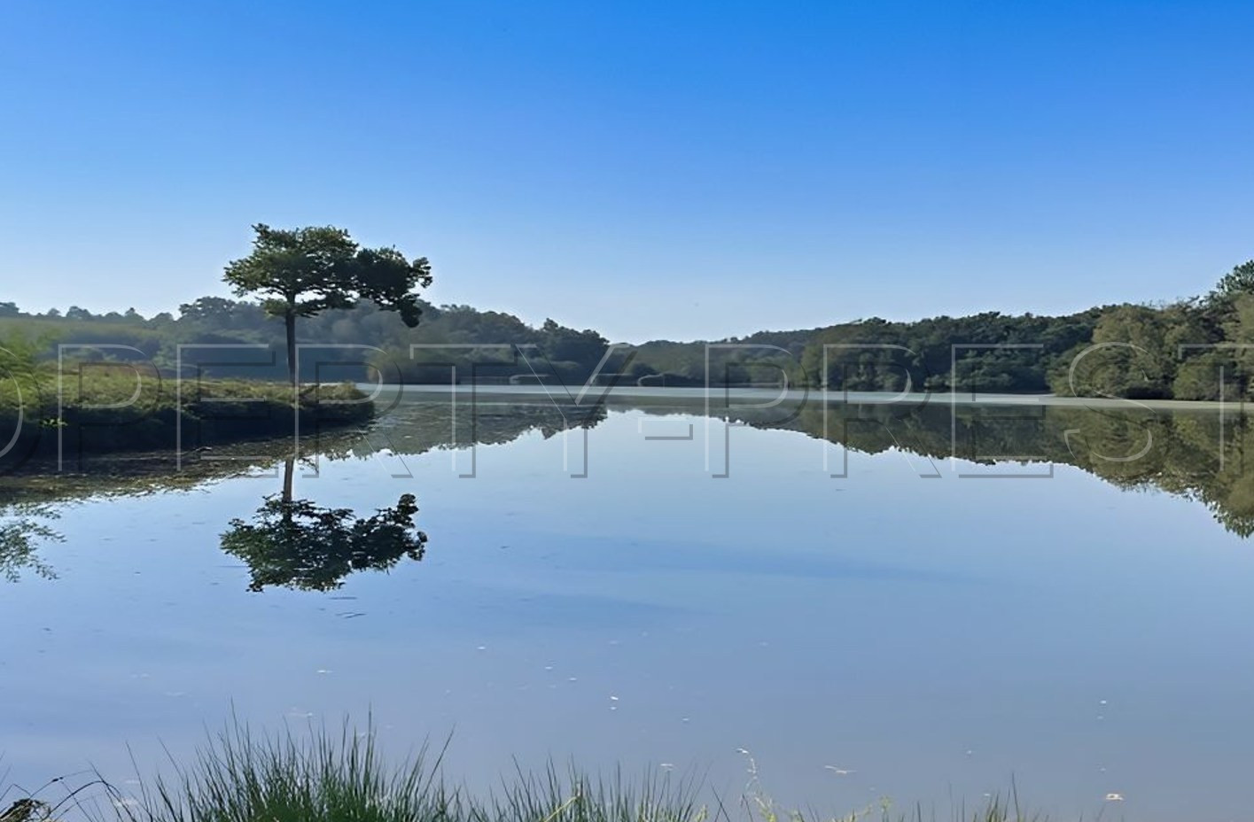 
                                                Vente
                                                 LANDES DOMAINE 57 ha ETANGS