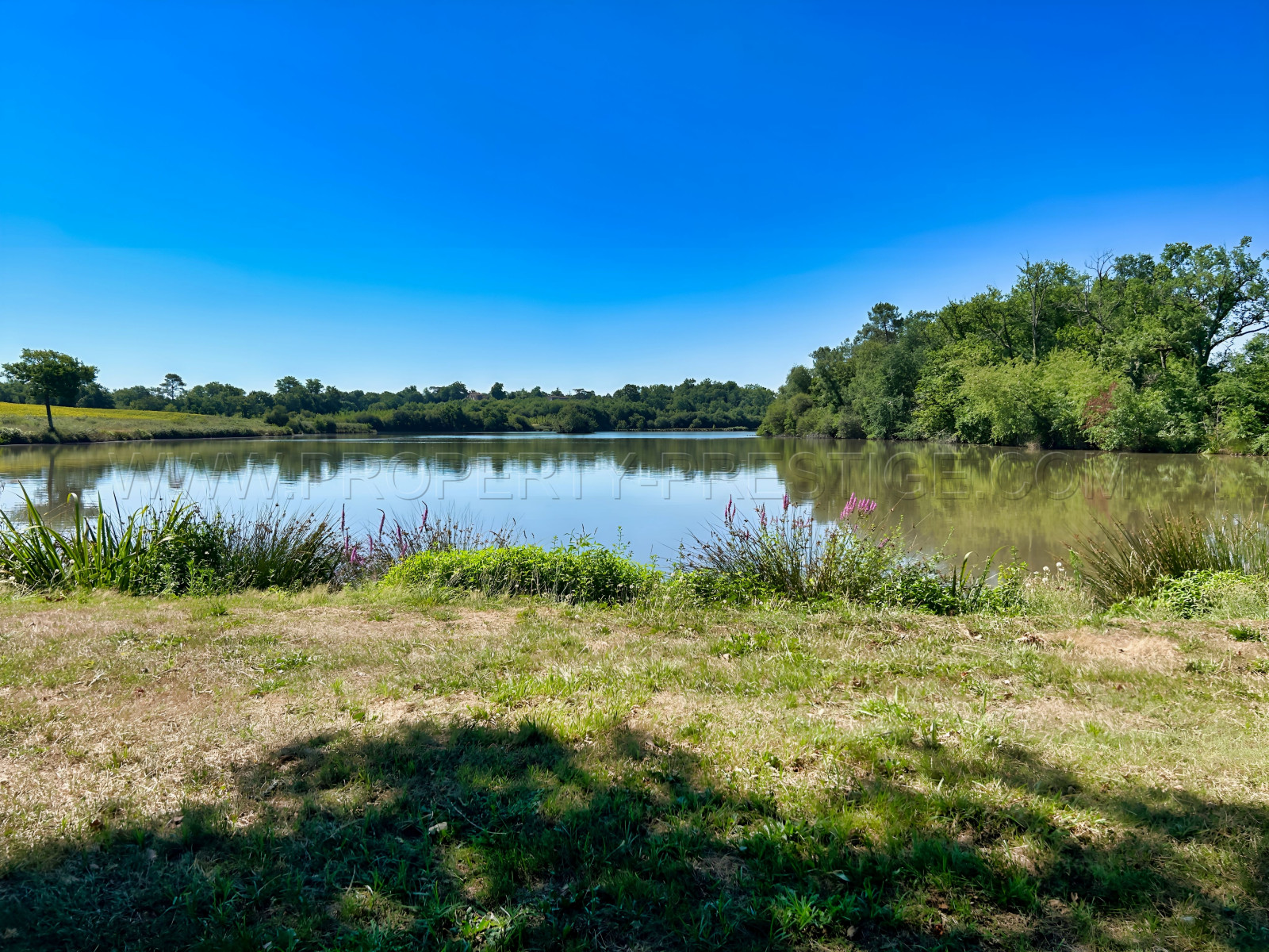 
                                                Vente
                                                 LANDES DOMAINE 57 ha ETANGS 20 ha