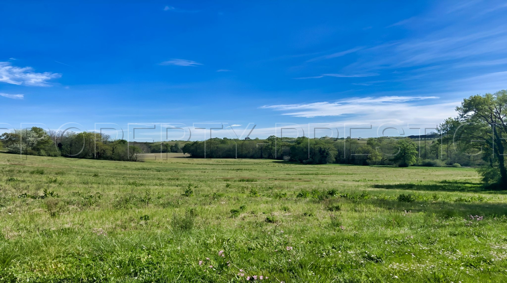 
                                                Vente
                                                 LANDES DOMAINE 57 ha ETANGS 20 ha