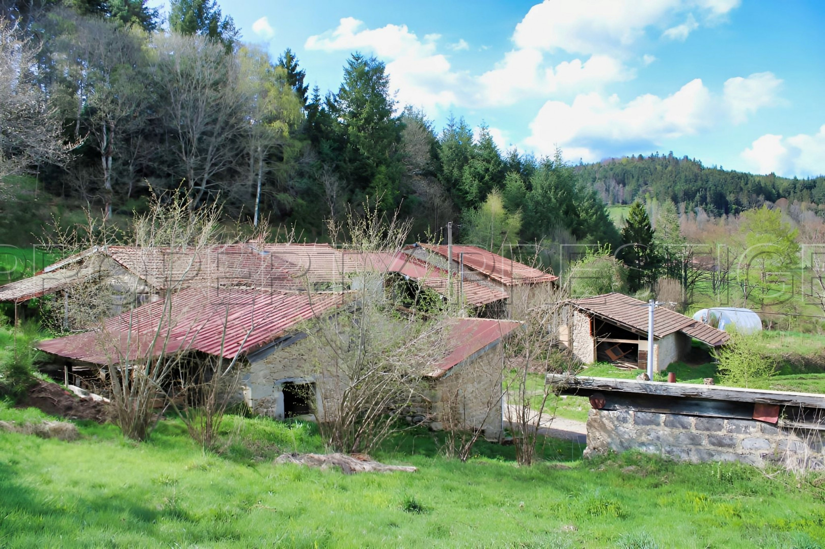 
                                                Vente
                                                 LOIRE HAUT FOREZ MAISON DE CAMPAGNE 2 HA