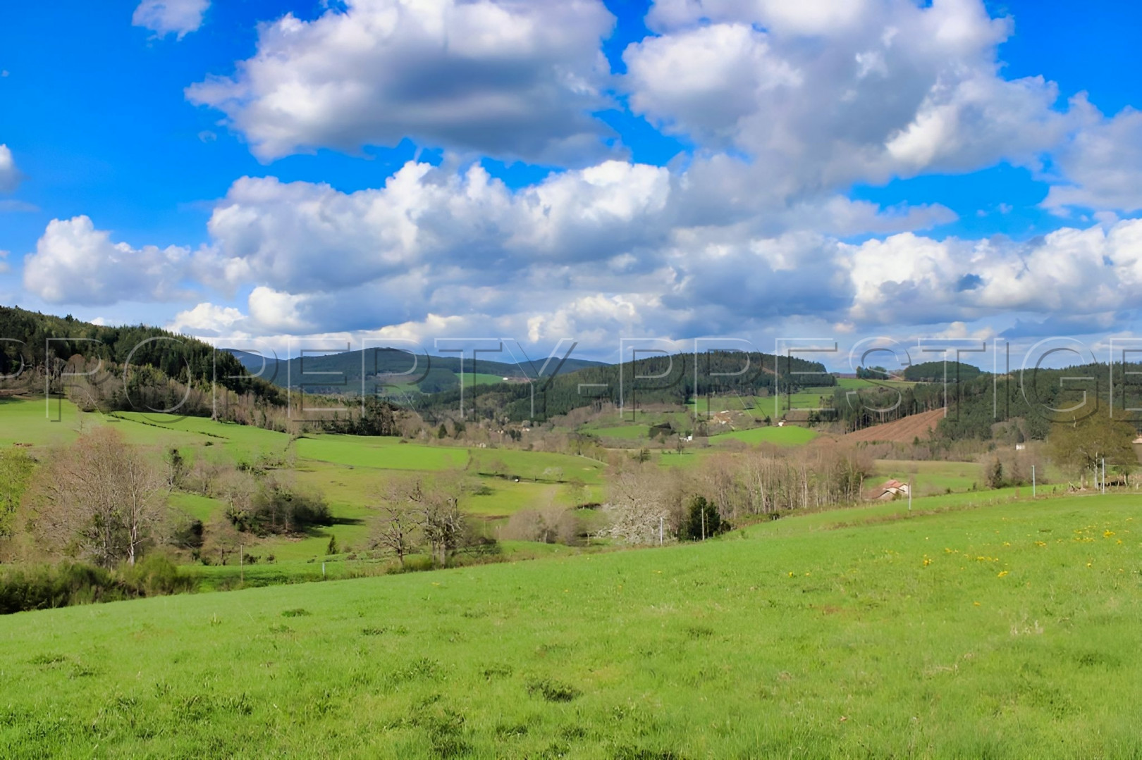 
                                                Vente
                                                 LOIRE HAUT FOREZ MAISON DE CAMPAGNE 2 HA
