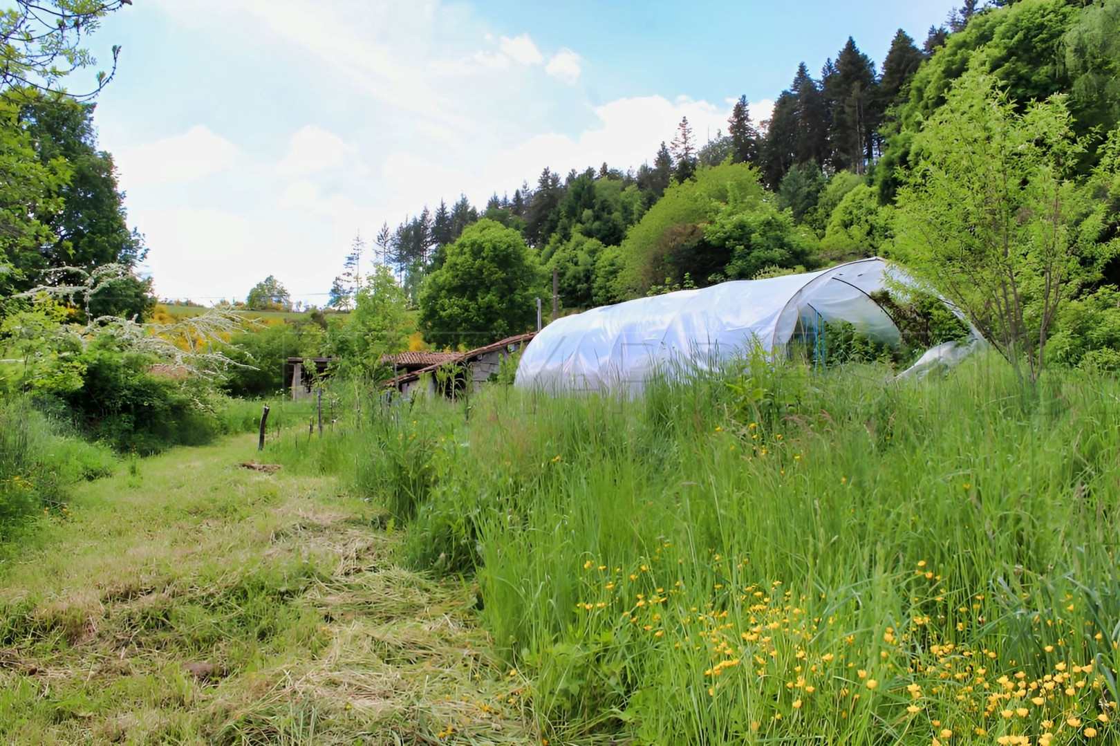 
                                                Vente
                                                 LOIRE HAUT FOREZ MAISON DE CAMPAGNE 2 HA