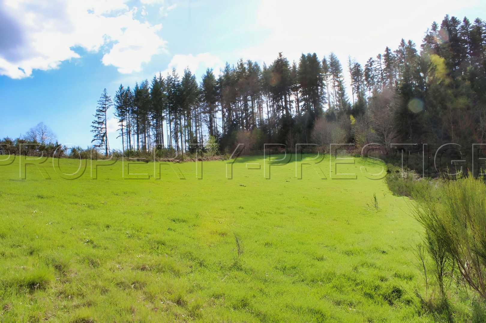 
                                                Vente
                                                 LOIRE HAUT FOREZ MAISON DE CAMPAGNE 2 HA