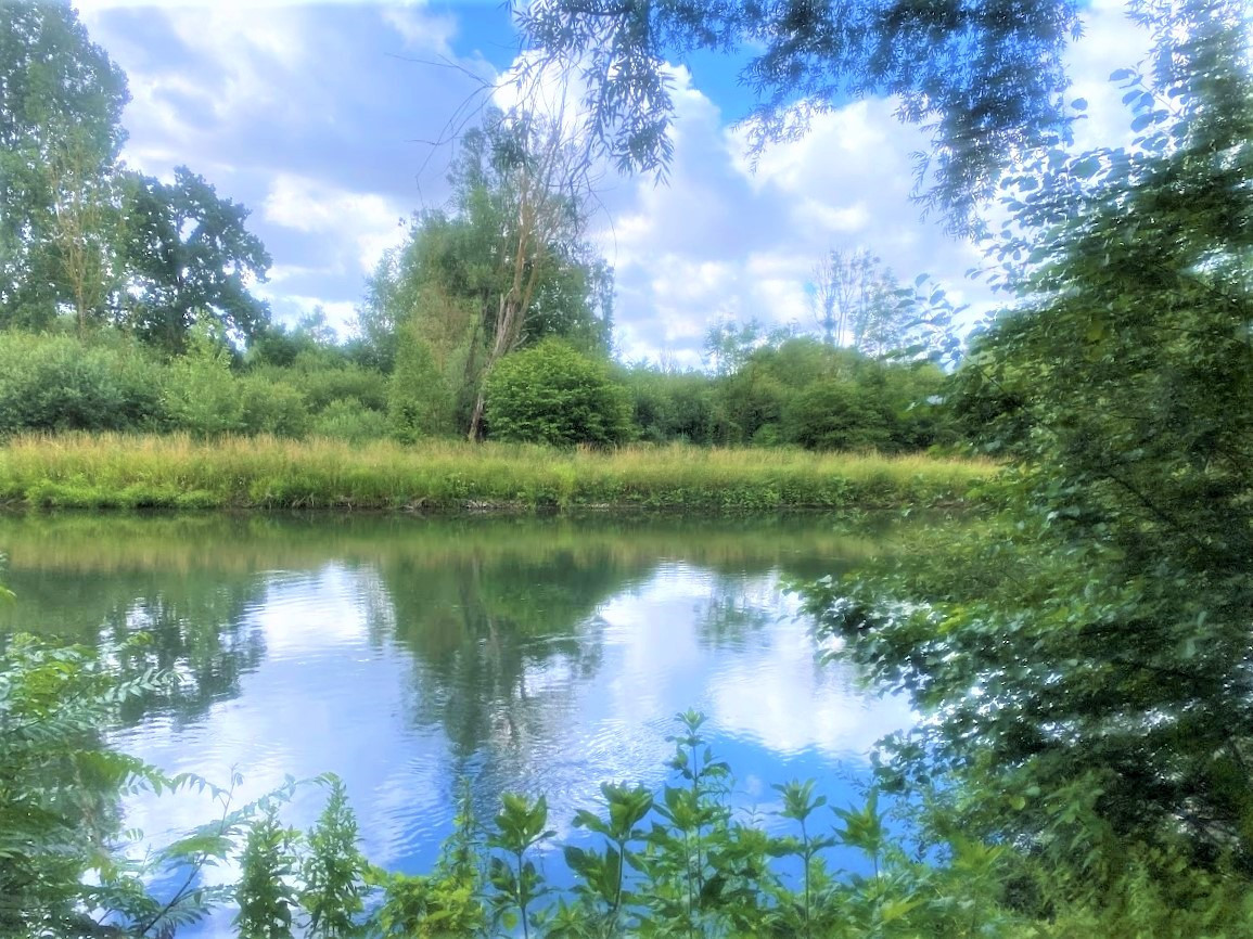 
                                                Vente
                                                 Loisirs, pêche, détente, bord de Somme