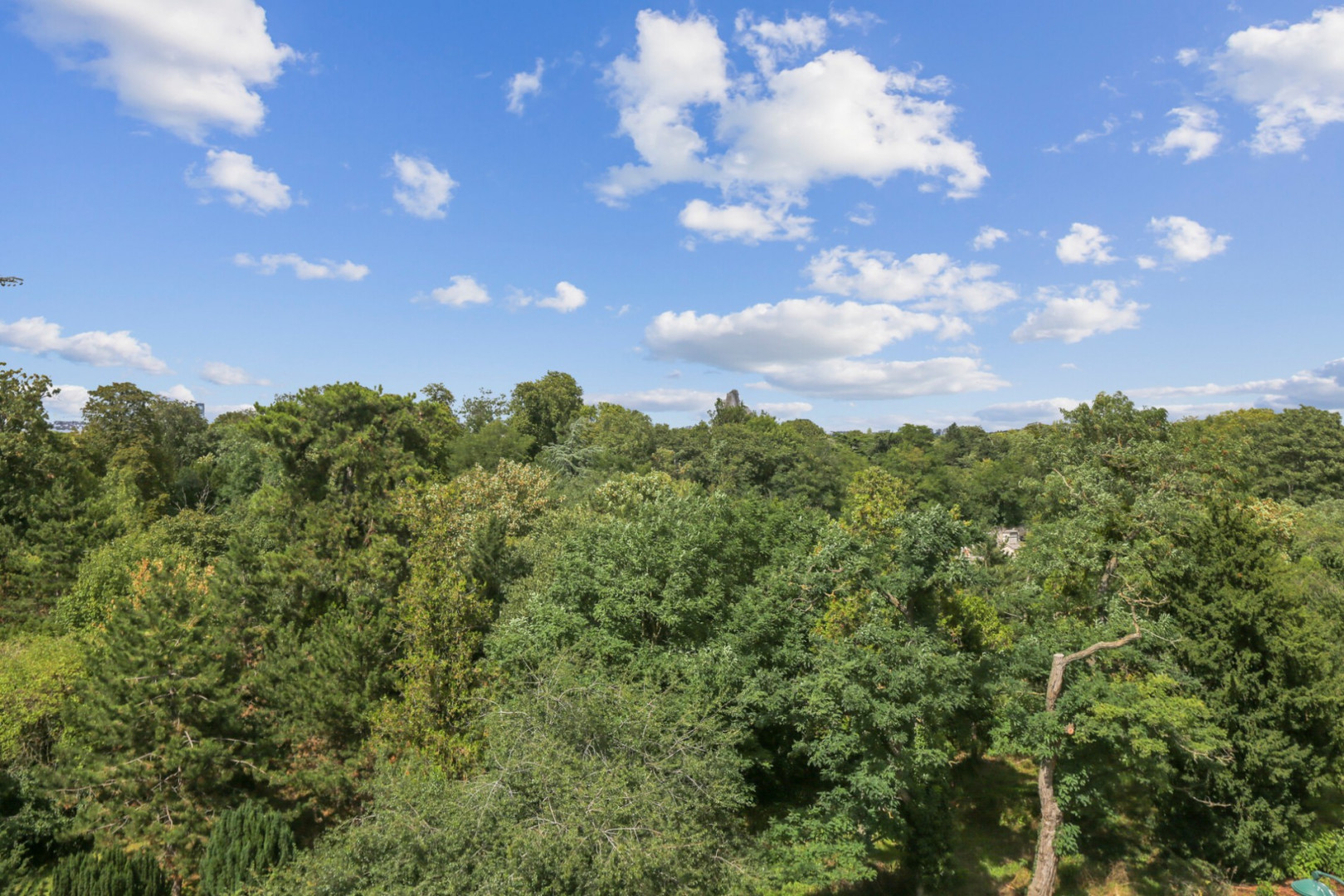 
                                                Vente
                                                 LOT 17&20