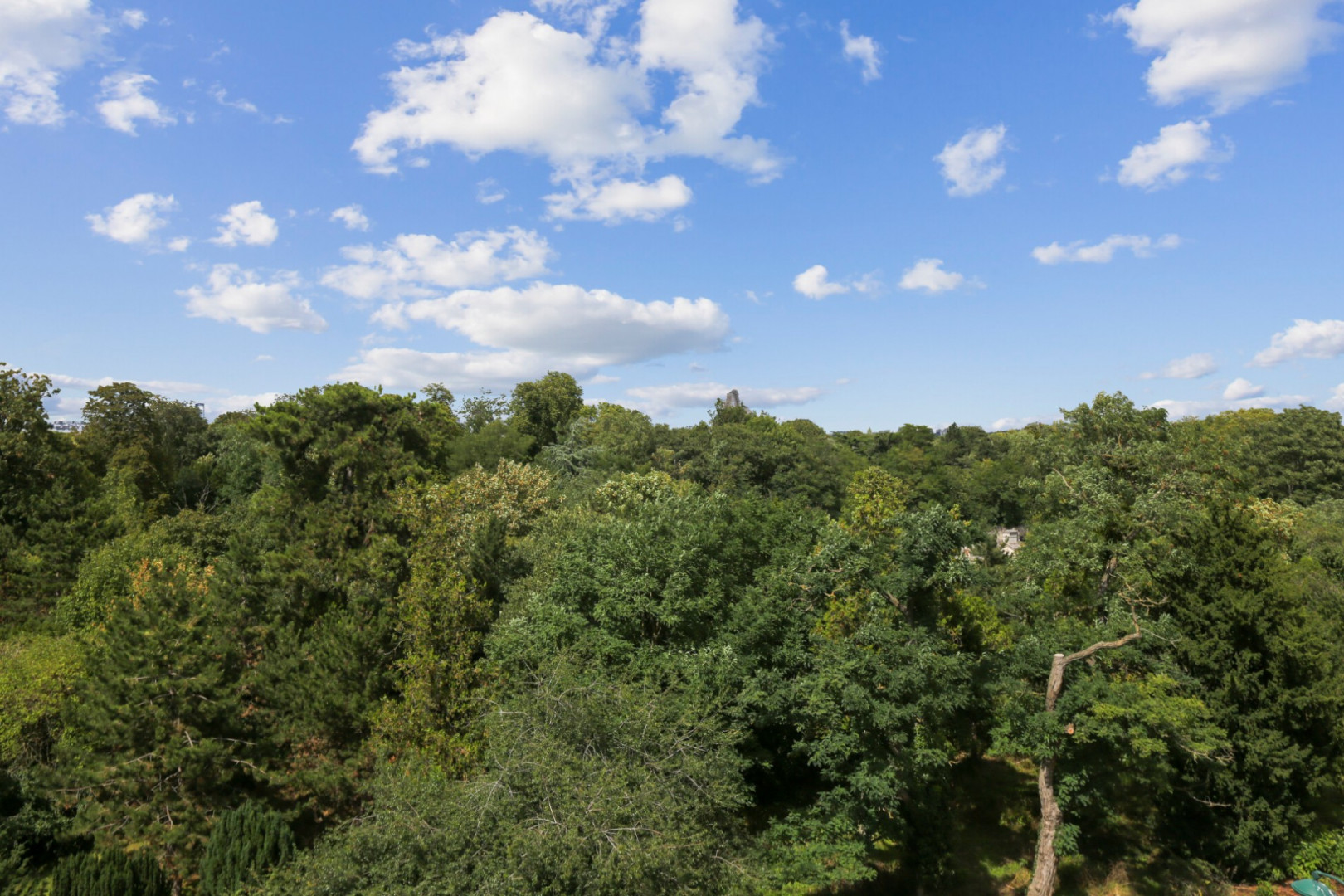 
                                                Vente
                                                 LOT 17&20