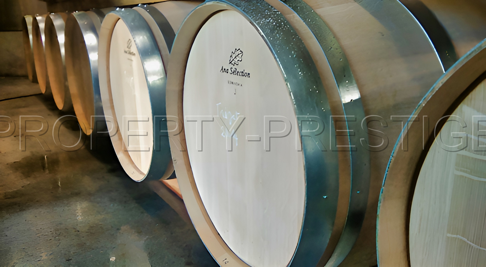 
                                                Vente
                                                 LOT DOMAINE VITICOLE AOC CAHORS 19 HA