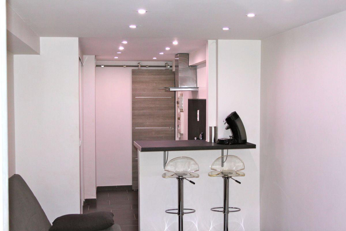 
                                                Location
                                                 Loue STUDIO DE 23m2 entièrement rénové LYON 01