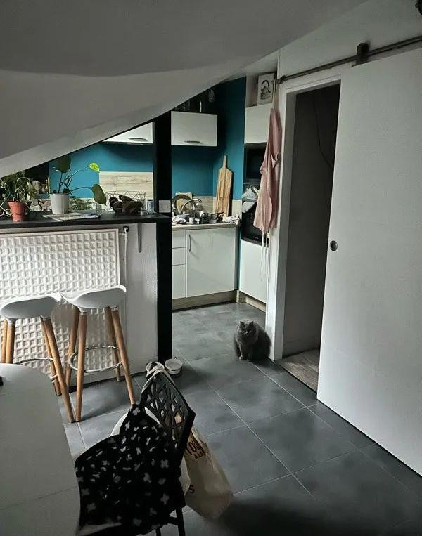 
                                                Location
                                                 Lumineux T2 bis meublé 54m²