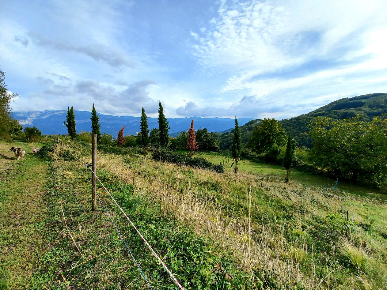 
                                                Vente
                                                 Maison 11 pièces 260 m² sur 6 hectares