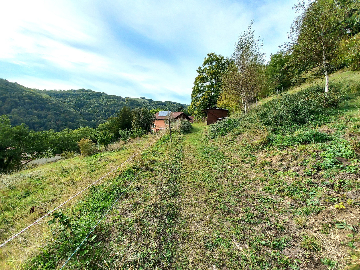 
                                                Vente
                                                 Maison 11 pièces 260 m² sur 6 hectares