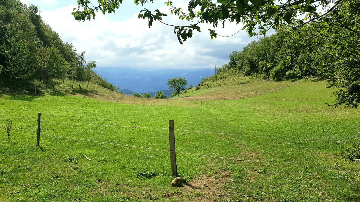 
                                                Vente
                                                 Maison 11 pièces 260 m² sur 6 hectares