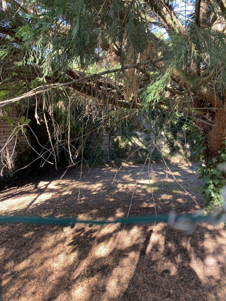 
                                                Location
                                                 Maison 2 chambres avec un grand jardin