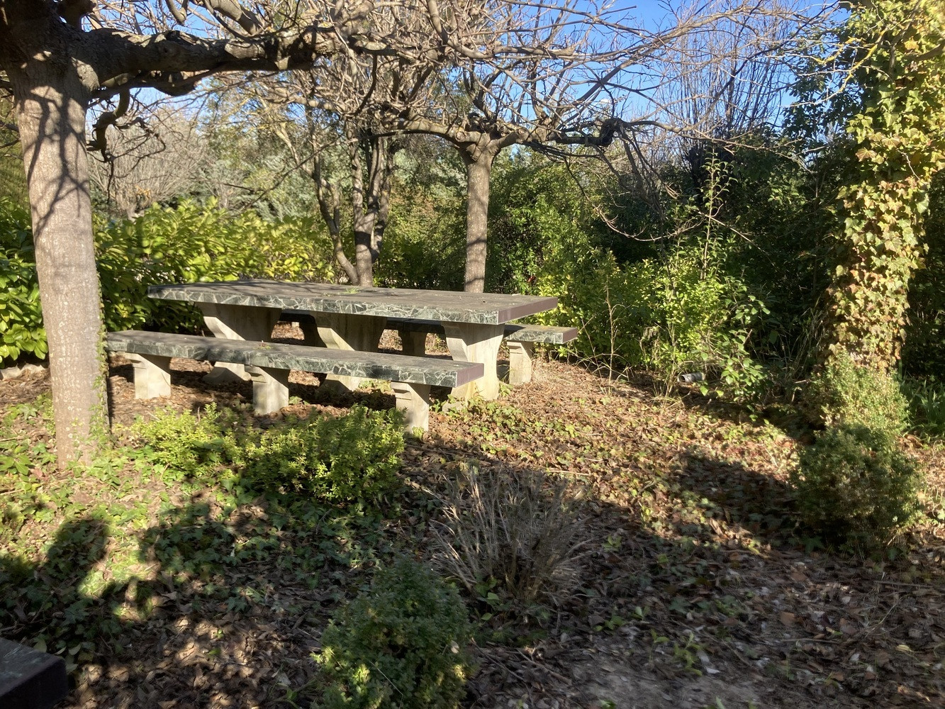 
                                                Vente
                                                 Maison 225 m², 3 chbres et garage