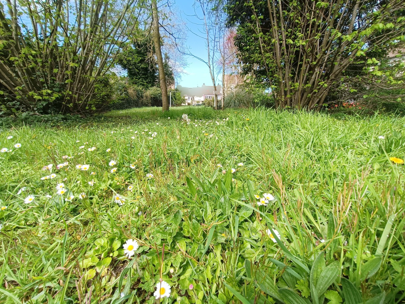 
                                                Vente
                                                 Maison 3 chambres avec très grand jardin