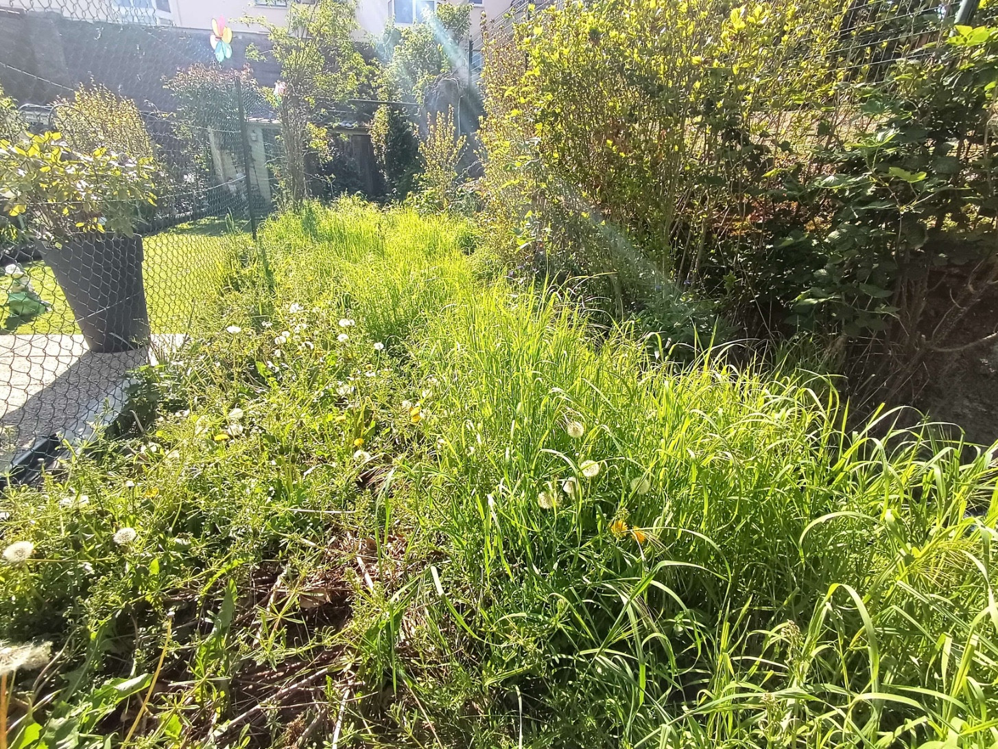 
                                                Vente
                                                 Maison 3 chambres, jardin, cave St Roch Amiens