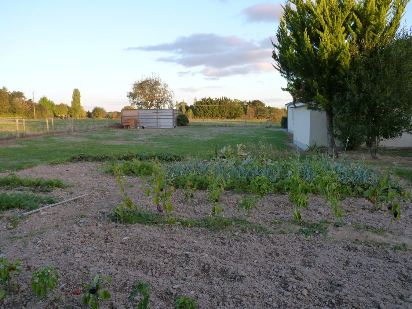 
                                                Location
                                                 Maison 4 chambres  avec jardin