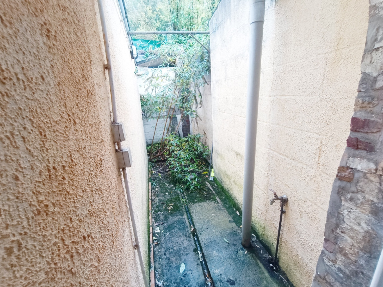 Vente
                                                 Maison 4 chambres avec petite cour