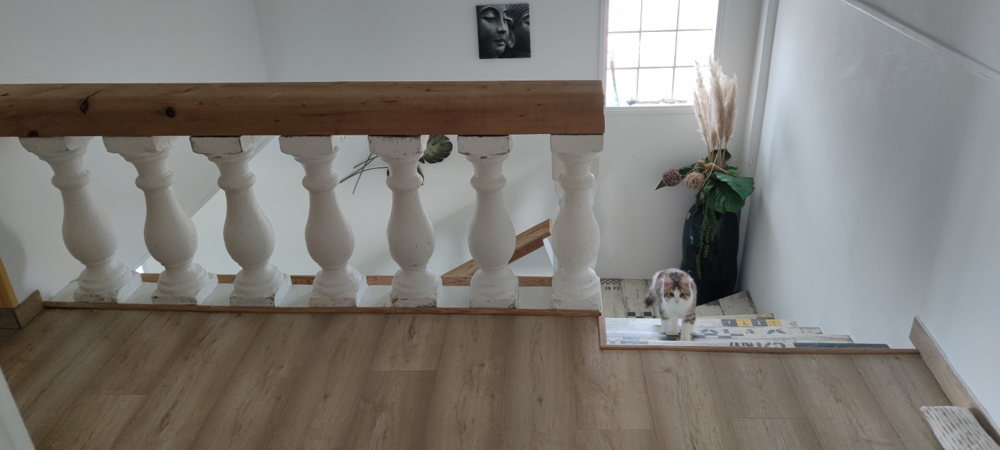 
                                                Vente
                                                 MAISON 4 CHAMBRES AVEC TERRAIN