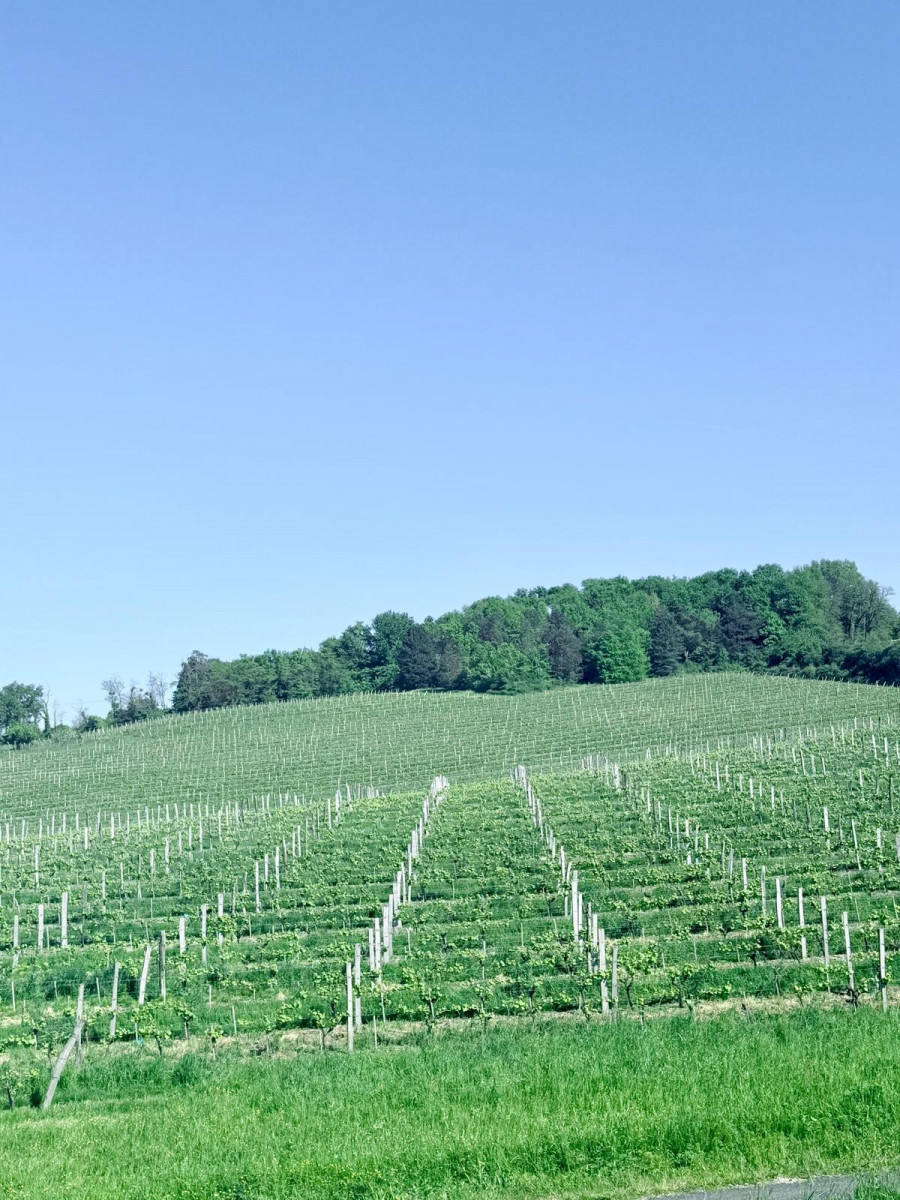 
                                                Vente
                                                 Maison 4 chambres et vue panoramique – Monbazillac