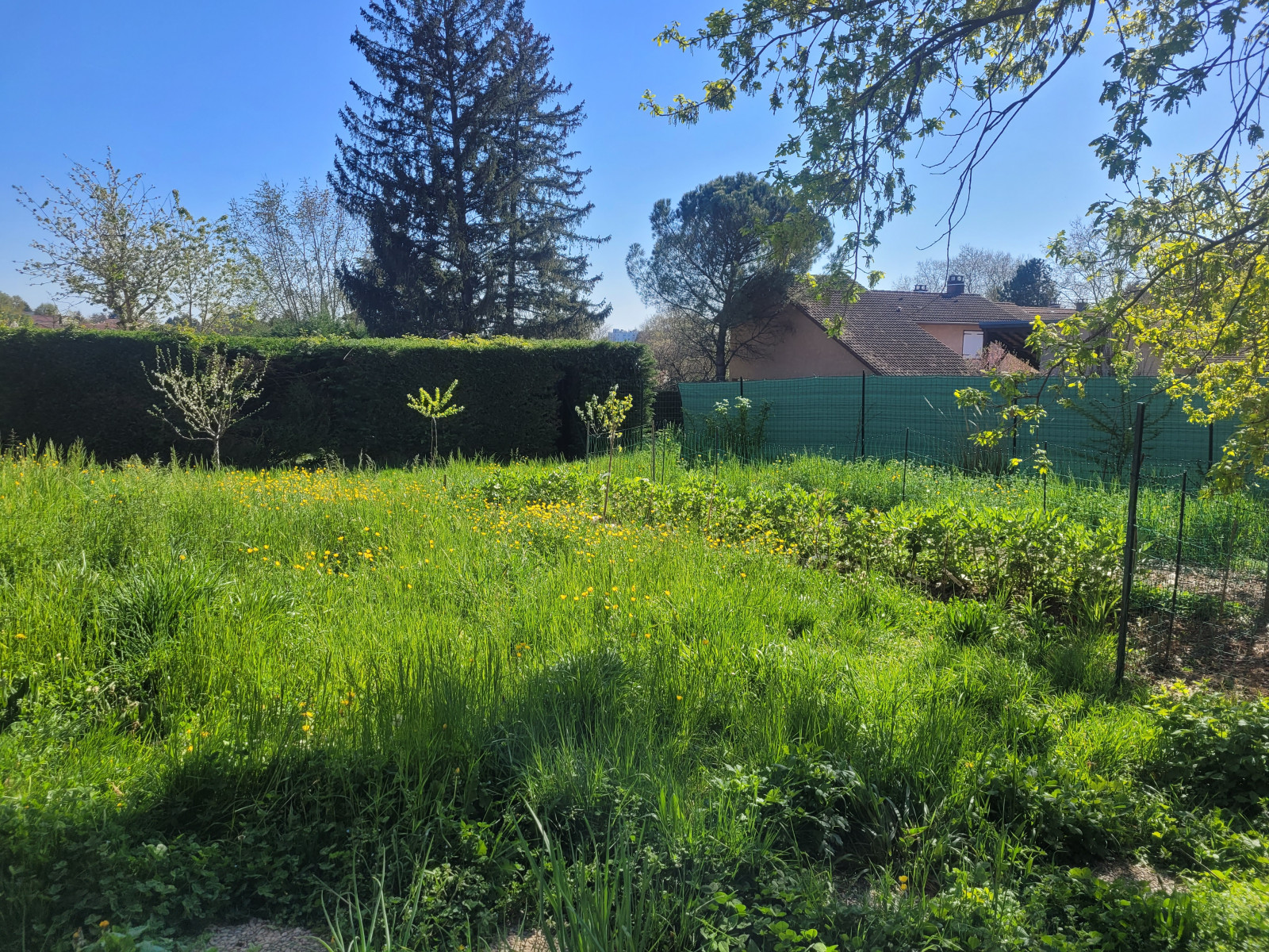 
                                                Vente
                                                 MAISON 4 CHAMBRES SUR 663M2 DE TERRAIN AVEC TERRAIN A BATIR