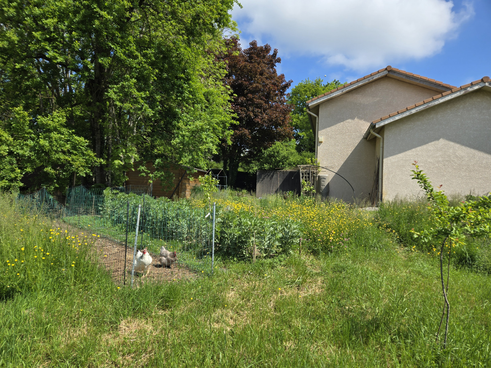 
                                                Vente
                                                 MAISON 4 CHAMBRES SUR 663M2 DE TERRAIN AVEC TERRAIN A BATIR