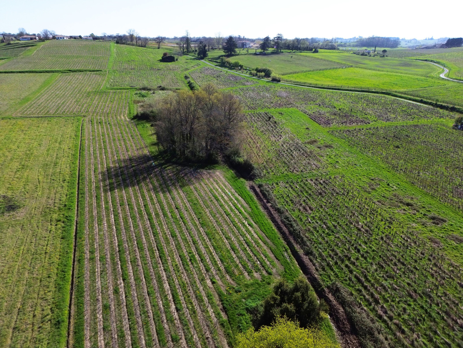 
                                                Vente
                                                 Maison 6 pièces