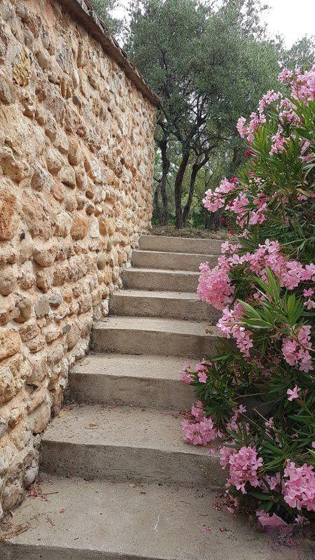 
                                                Location
                                                 Maison à louer vue magnifique