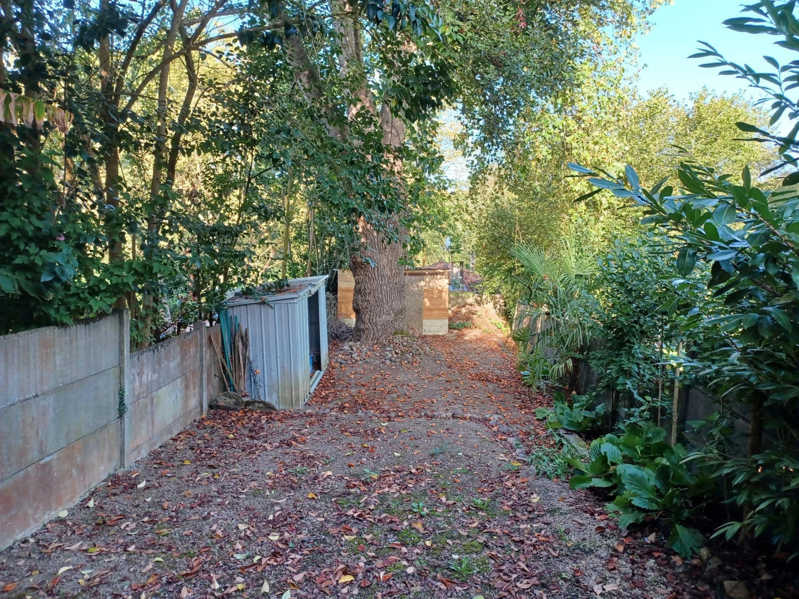 
                                                Vente
                                                 Maison à vendre | Aire sur l'Adour | Landes (40)