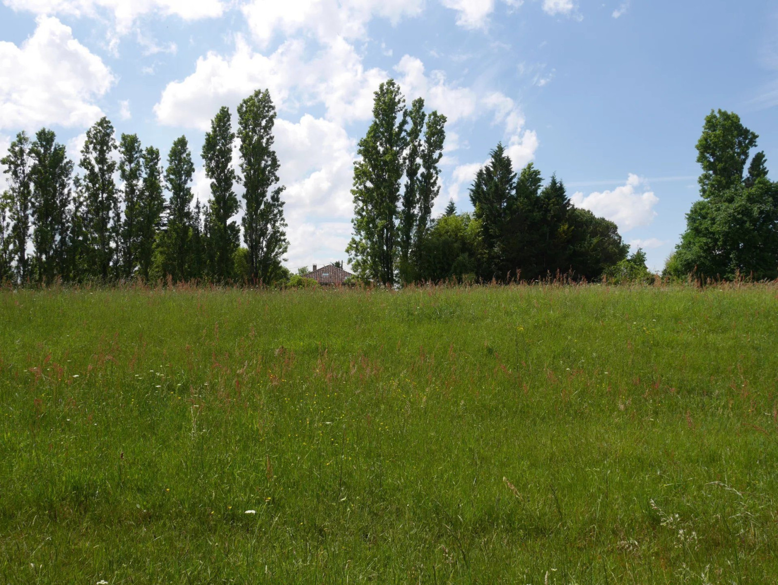 
                                                Vente
                                                 Maison à vendre | Arblade le Haut | Gers (32)