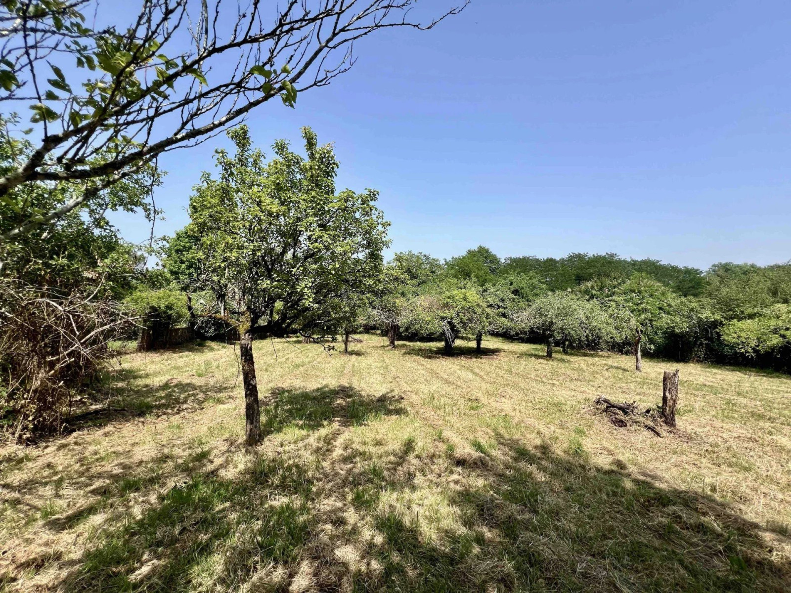 
                                                Vente
                                                 Maison à vendre | Caupenne d'Armagnac | Gers (32)