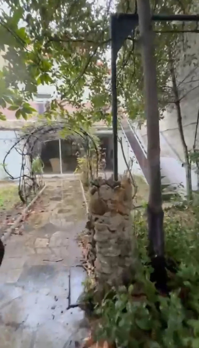 
                                                Vente
                                                 Maison avec fort potentiel d’agrandissement – Secteur “Marceau”