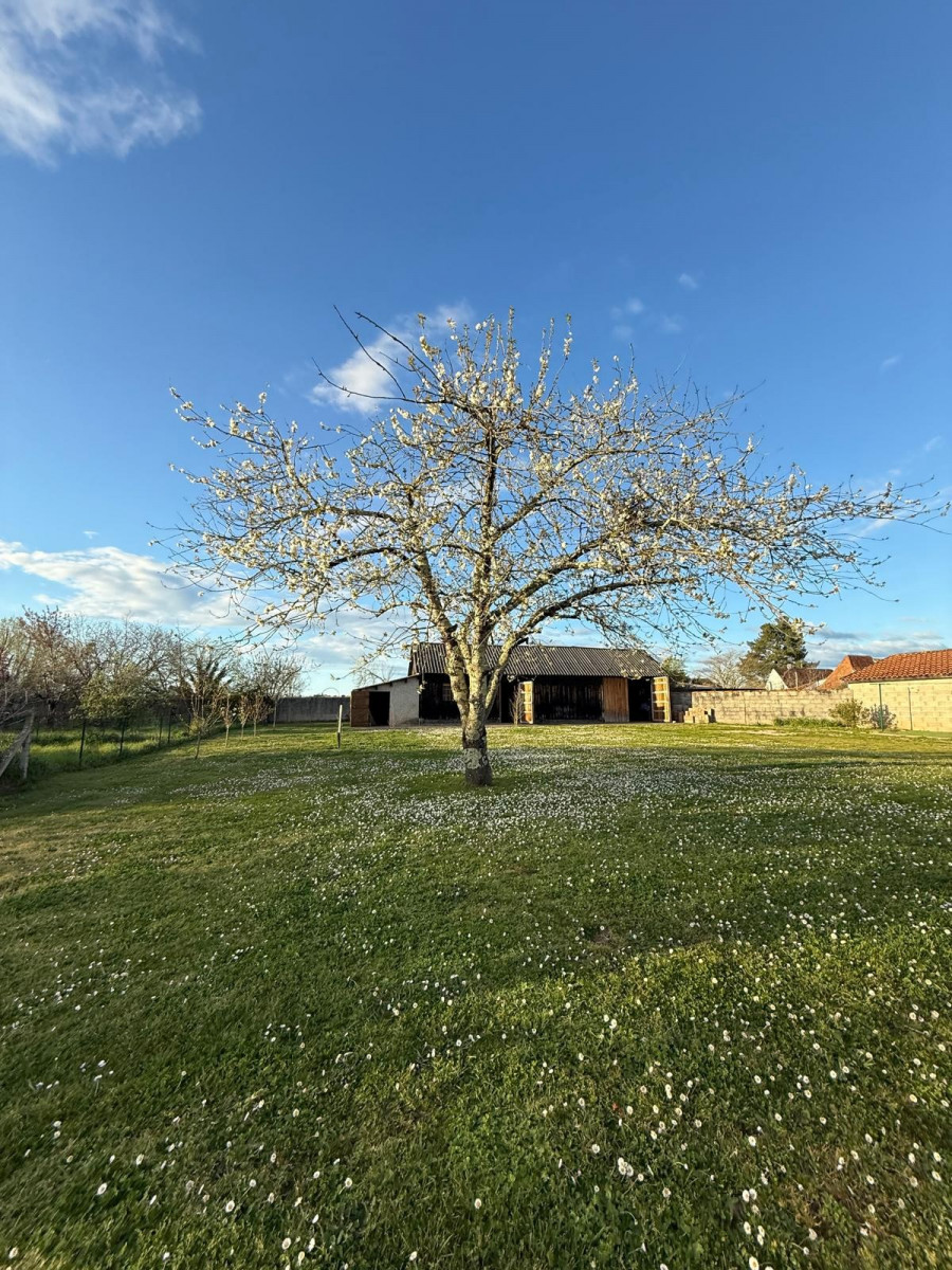 
                                                Vente
                                                 Maison avec grand terrain et dépendances